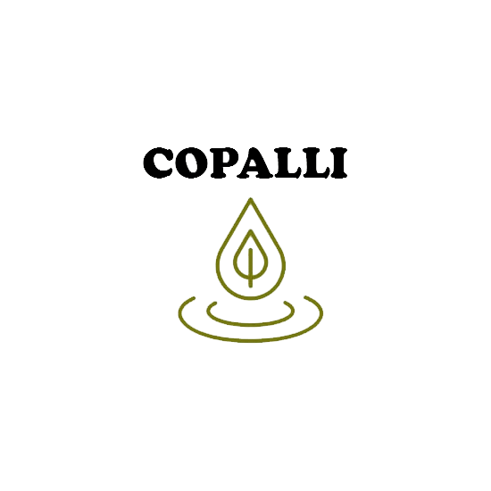 aromazenith.com